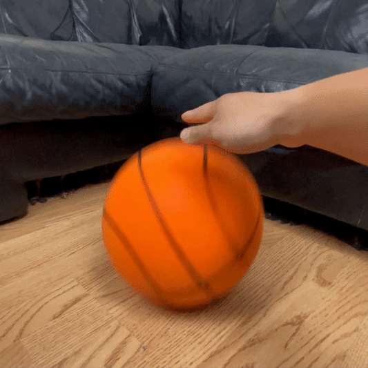 MuteBall™ : Le Ballon de Basket-Ball Silencieux